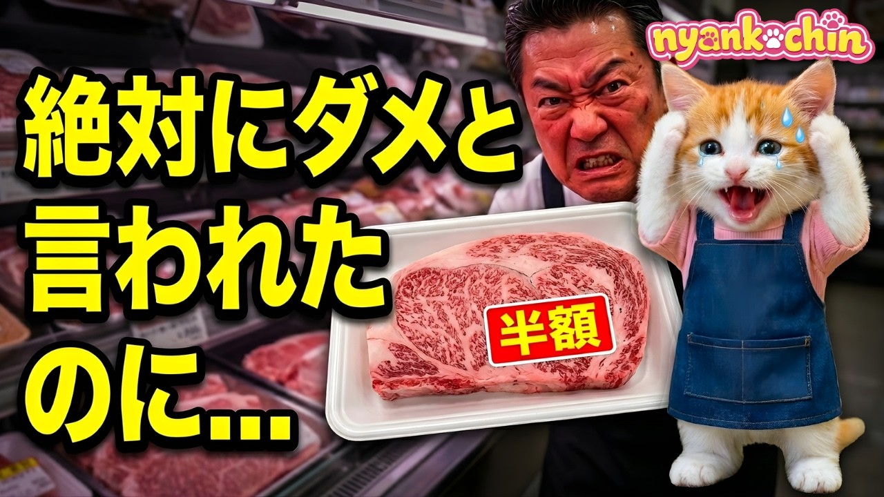【大惨事】頭が真っ白に…。タイムセール中に起きた、絶対にやってはいけない出来事。AI猫にゃんこちん