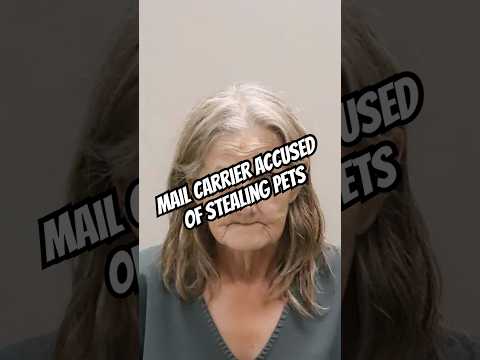 Mail carrier accused of stealing pets 😳🐶🐱 #News #Florida #Animals #Shorts
