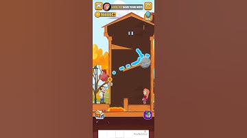 Home Pin Game Play Walkthrough Level 167