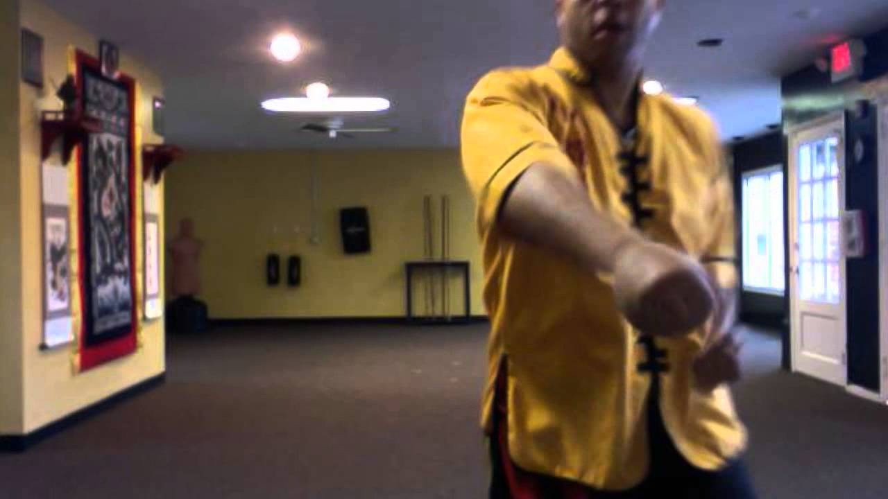 Kung fu Northern Dragon style Traditional Chinese Martial Art YouTube