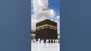 يا رايح للنبي الهادي بلغ سلامي النوبادي هنيالك وعقبالي 