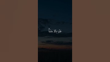 القارئ هزاع البلوشي- ﴿يَا أَيُّهَا الَّذِينَ آمَنُوا اسْتَجِيبُوا لِلَّهِ﴾ | مقاطع قرآن وحالات واتس🌱