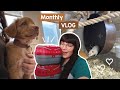 I got my Rats a wheel and my Puppy went to the vets | VLOG