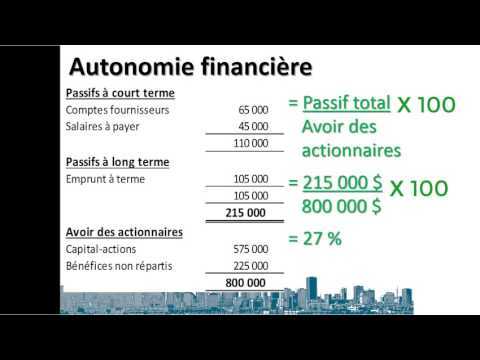 Ratio d&rsquo;autonomie financière (Dette / Équité)