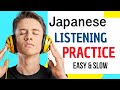 Japanese Listening Practice || Japanese Conversation || Slow and Easy Japanese Lesson
