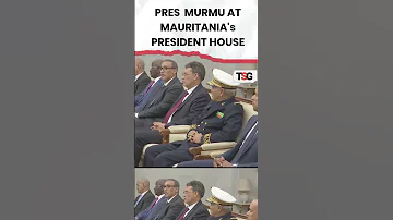 Watch President Droupadi Murmu Meets President Of Mauritania At His Residency 