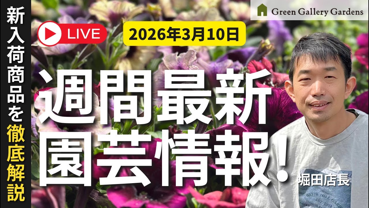 【最新情報】こちらがやり直し版です！3月10日グリーンギャラリーガーデンズ入荷情報を一挙公開!