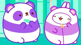 molang piu piu panda meets panda funny animal cartoon kids