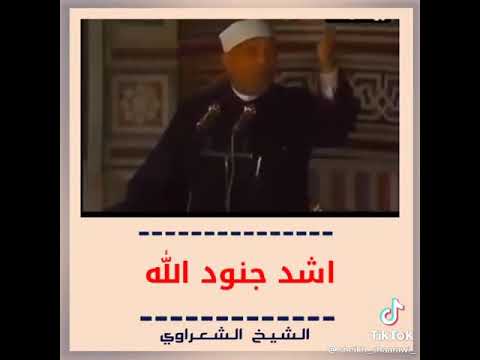 الشيخ الشعراوى اقوى جنود الله عشره واشدهم الهم الشيخ محمد متولى الشعراوى