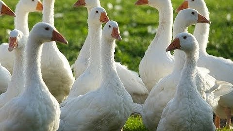 Titanfall 2 | Ejection quickscope gooser!