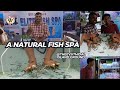 A Natural Fish SPA at தீவுத்திடல் Island Ground | by Elite Fish SPA