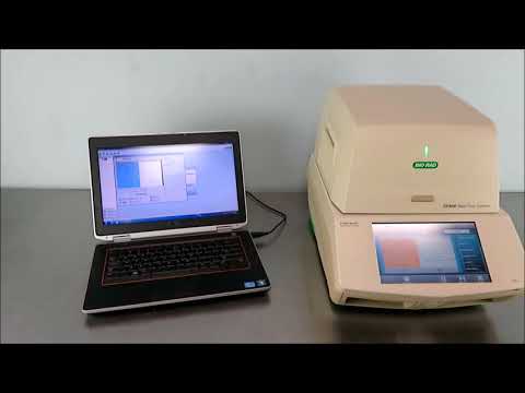 BioRad CFX96 Touch Real Time PCR