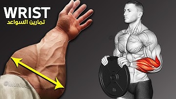 9 BEST Exercises for Bigger Forearms Workout 🎯