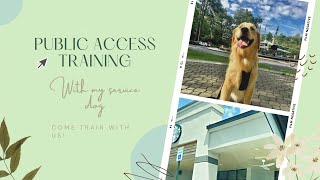 Public Access Vlog- Service Dog in Training 🦮☕️✨ by helperpupatlas 1,384 views 1 year ago 11 minutes, 36 seconds