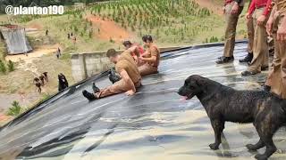 Cachorro Escorregando Sem Querer Na Brincadeira Da Ladeira Com Água