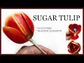 How to Make a SUGAR TULIP: NO CUTTERS, REALISTIC Elements Sugar Flower Tutorial