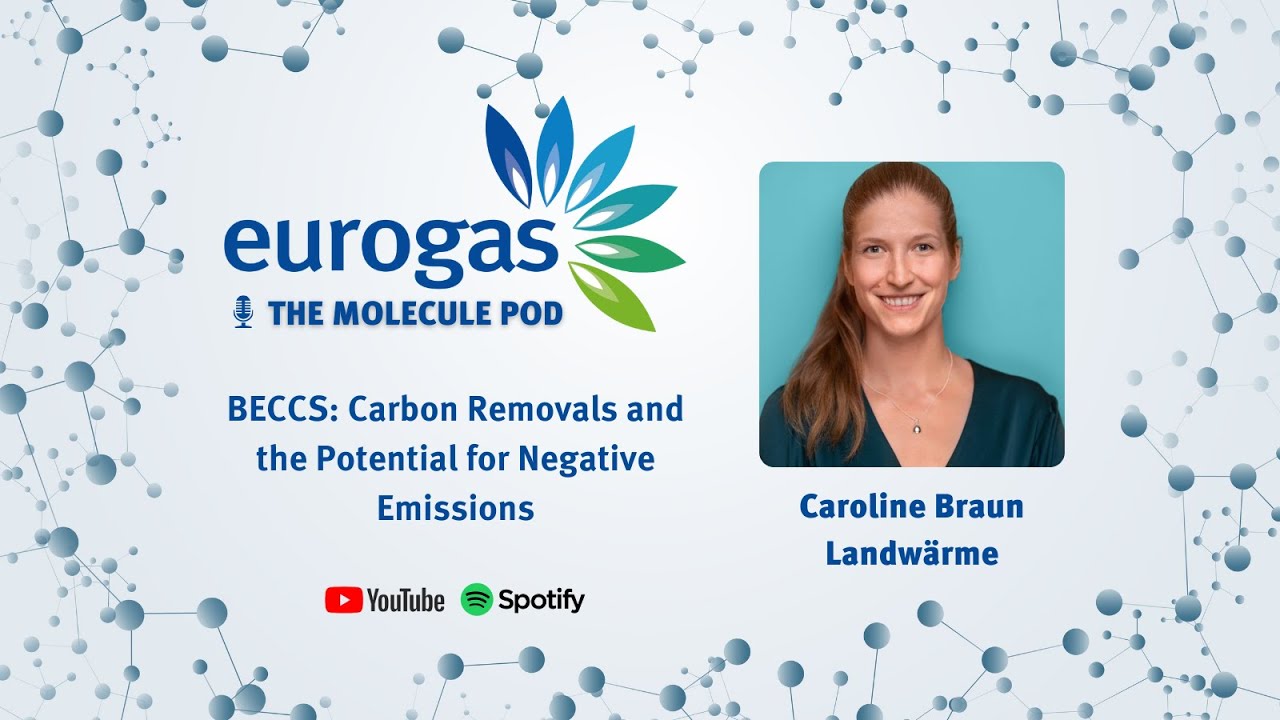Eurogas Molecule Pod: Bioenergy with Carbon Capture and Storage (BECCS ...