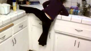 Ayja Climbing On The Counter
