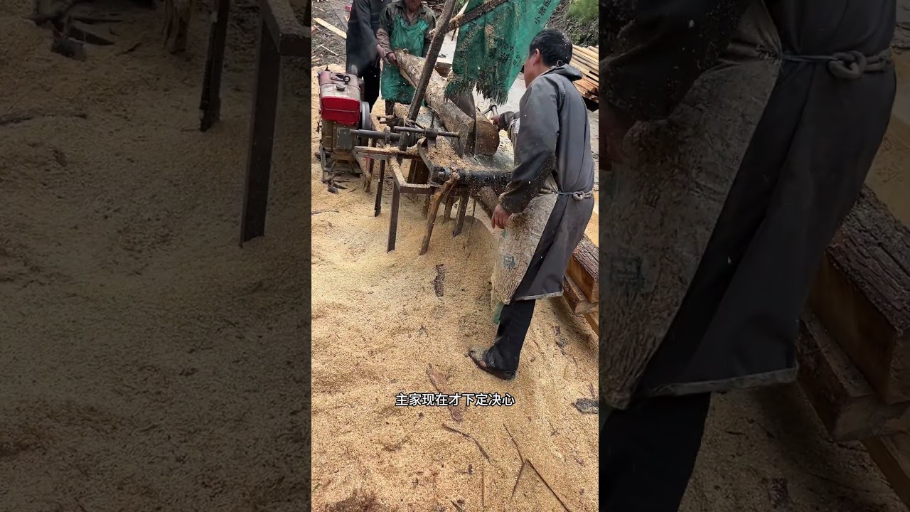 高压线下被砍有一年的木材，上水加工很重古麒麟古麒麟