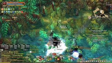 Tree of Savior Walkthrough 166 Phamer Forest Side Quests