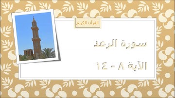 القرآن الكريم - تلاوة رائعة - سورة الرعد - الآية 8-14