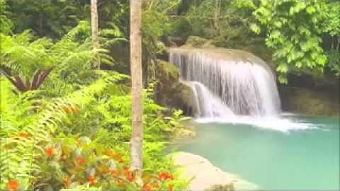 سورة النور تلاوة عبدالرحمن جمال العوسي