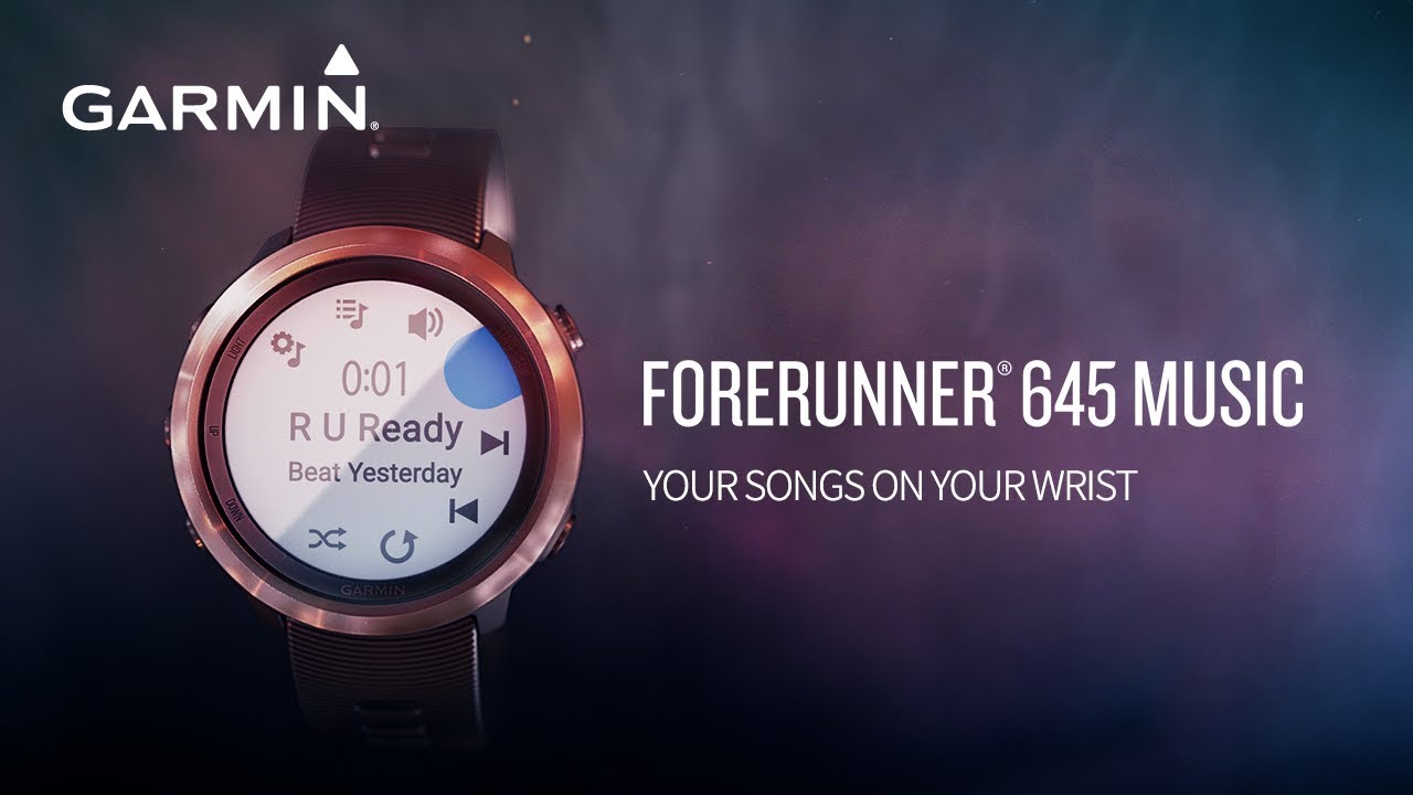 garmin forerunner gold