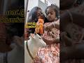 மாட்டு🐮 பொங்கல் mini vlog||#maha_cuts #minivlog #mattupongal