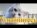 Улыбнитесь Позитив Создай себе хорошее настроение