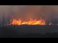 10.03.2022 Горит сухостой под/в Гомеле. Каждый год одно и тоже