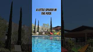 #little,#splash,#pool,#relaxing,#time,#travel,#hotel,#beautiful,#novotel,#music,#kraftwerk,