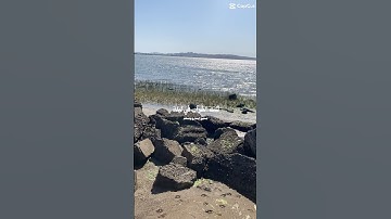 سورة الإخلاص تعدل ثلث القرآن