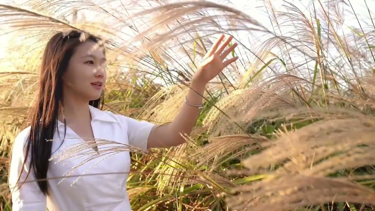 Mountainous Area in Tong'an