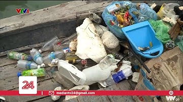 Nói không với rác thải nhựa - Bài toán không dễ | VTV24