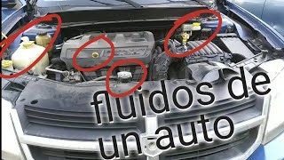 como revisar todos los líquidos o fluidos de un auto