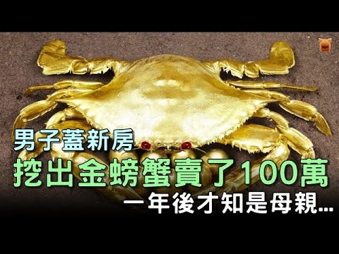 男子蓋新房，挖出金螃蟹賣了100萬，一年後才知那是母親...#情感短篇小說故事 #楓牛愛世界