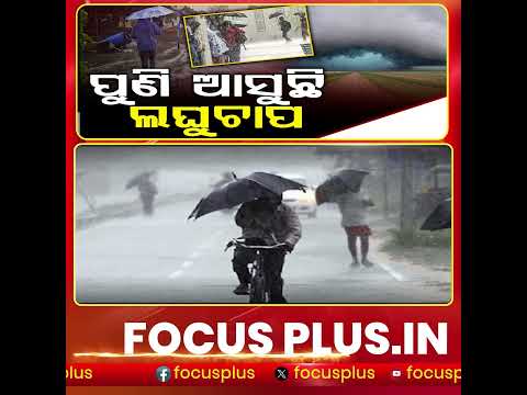 ଲଘୁଚାପ ପାଇଁ ବର୍ଷା ଆଲର୍ଟ! ll FOCUS PLUS ||