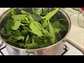 Салат из Листьев Перца - Закуска к Мясу! На Зиму! Pepper Leaves Salad - Appetizer for Meat!