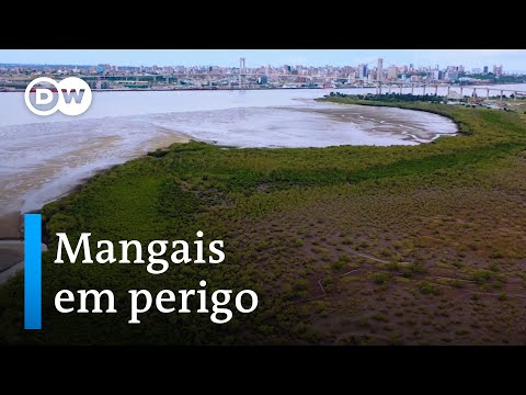 Vídeo: Zona Do Mangal (73 Fotos): No Campo Com As Próprias Mãos, Projetos Com Desenhos E Tamanhos, Churrasqueiras áreas De Lazer, Pátio De Tijolos Com Churrasqueira Em Casa De Campo