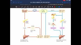 선주고 디딤영상 혈당량 조절