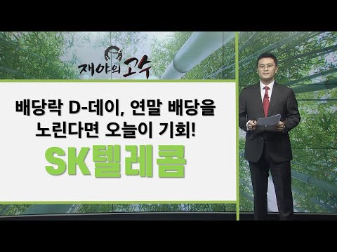 배당락 D 데이 연말 배당을 노린다면 오늘이 기회 SK텔레콤 재야의 고수 매일경제TV 