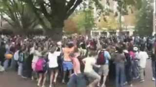 Harlem shake in the courtyard