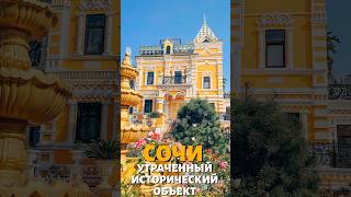 Адрес: г.Сочи ул. Егорова 1 #travel #тревелвлог #spring #турыонлайн