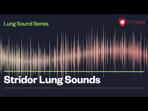 Stridor Lung Sounds - EMTprep.com