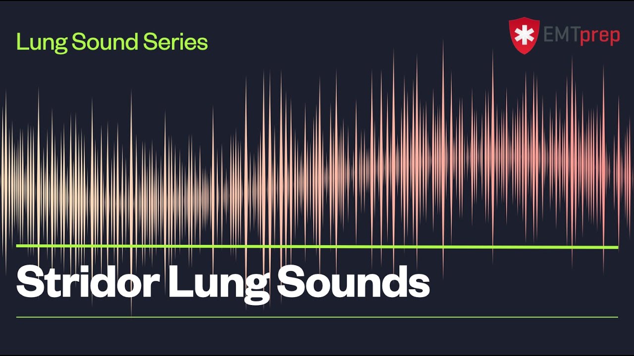 Stridor Lung Sounds - Emtprep.Com