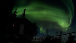 Winter Camping at an Alaskan log cabin. Seeing what wolves have left along there path