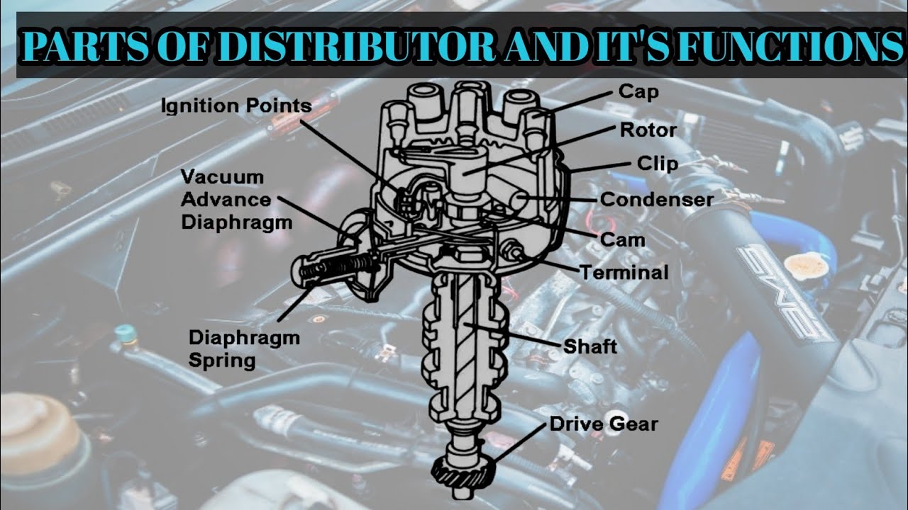 Parts Of Distributor And It's Functions 