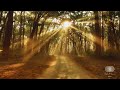 Winter Morning Drive, Dhikala, Corbett Tiger Reserve, Uttarakhand