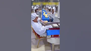 They Have The Easiest Jobs Ever 