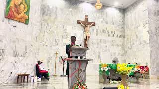 Responsorial Psalm  22nd Sunday in Ordinary Time (Year A) - Psalm 63